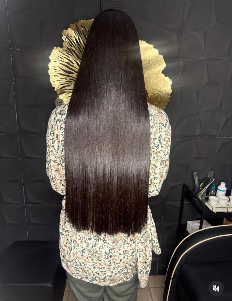 Cabello largo castaño oscuro, lacio y brillante visto desde atrás