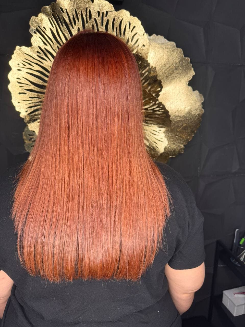 Cabello largo cobrizo, lacio y brillante visto desde atrás